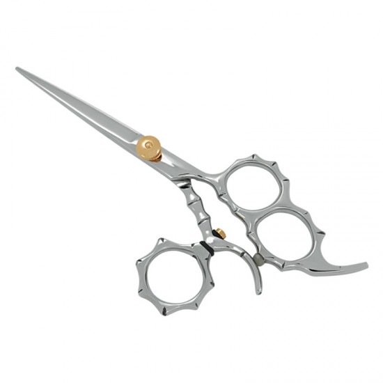 Professional Hair Cutting Scissors