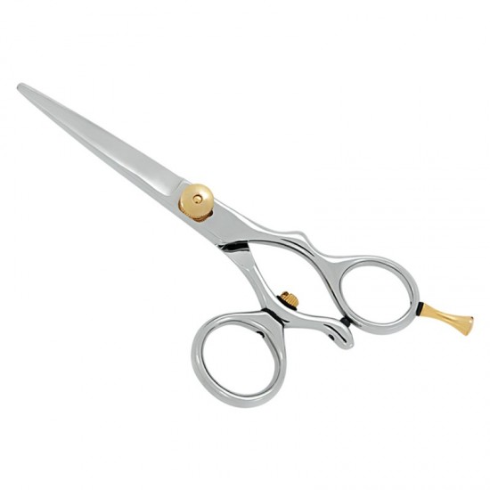 Professional Hair Cutting Scissors