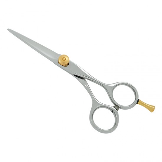 Professional Hair Cutting Scissors