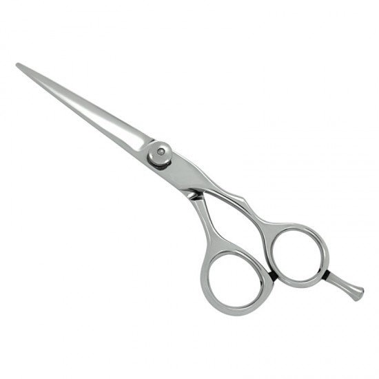 Professional Hair Cutting Scissors