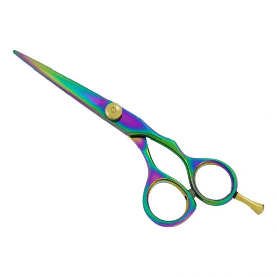 Professional Hair Cutting Scissors