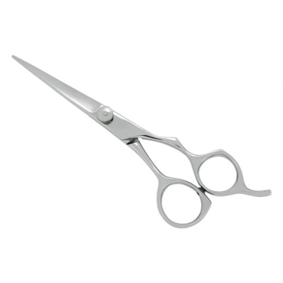 Professional Hair Cutting Scissors