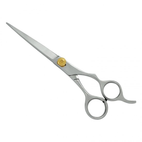 Professional Hair Cutting Scissors