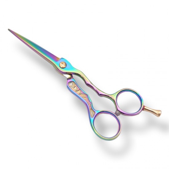 Professional Hair Cutting Scissors