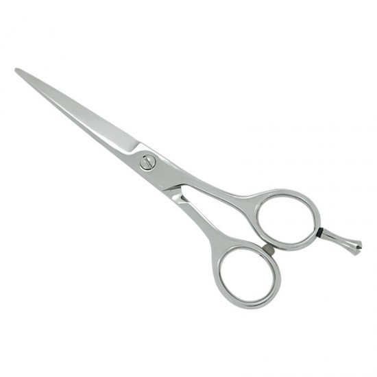 Professional Hair Cutting Scissors