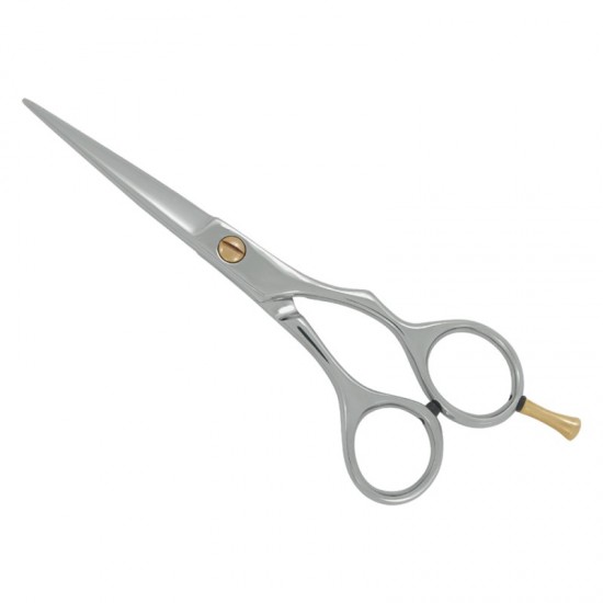 Professional Hair Cutting Scissors