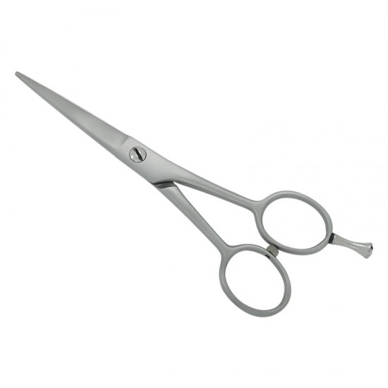 Professional Hair Cutting Scissors