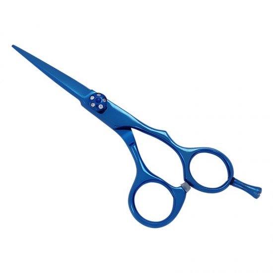 Professional Hair Cutting Scissors