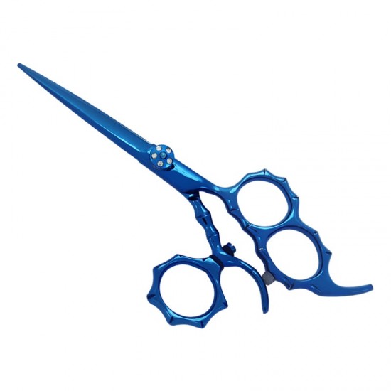 Professional Hair Cutting Scissors