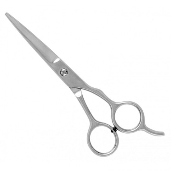 Economy Hair Scissors