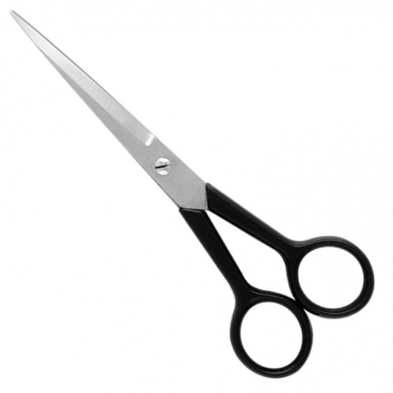 Economy Hair Scissors