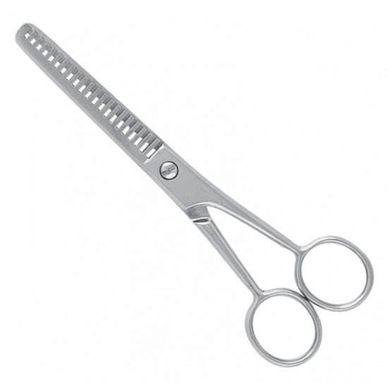 Economy Hair Scissors