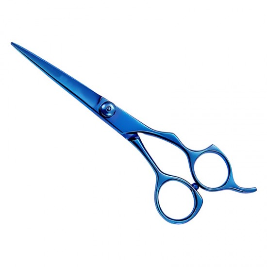 Professional Hair Cutting Scissors