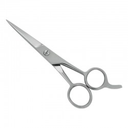 Professional Hair Cutting Scissors