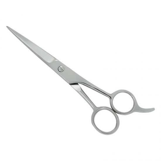 Professional Hair Cutting Scissors