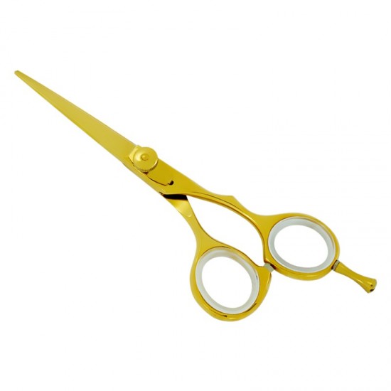 Professional Hair Cutting Scissors