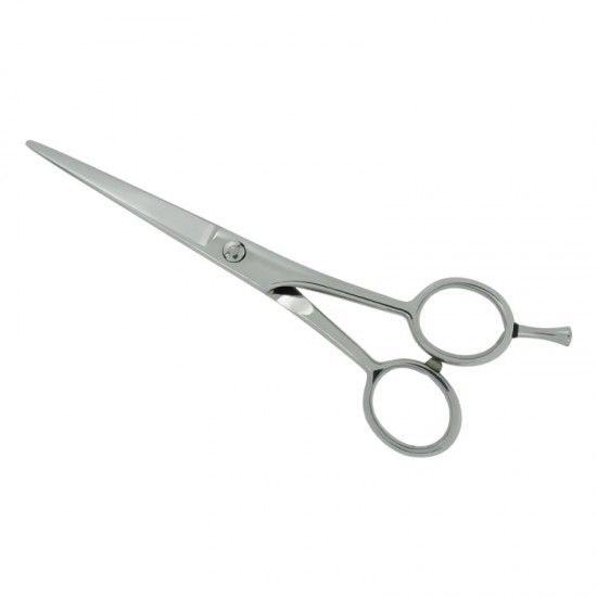 Professional Hair Cutting Scissors