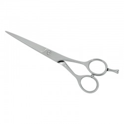 Professional Hair Cutting Scissors