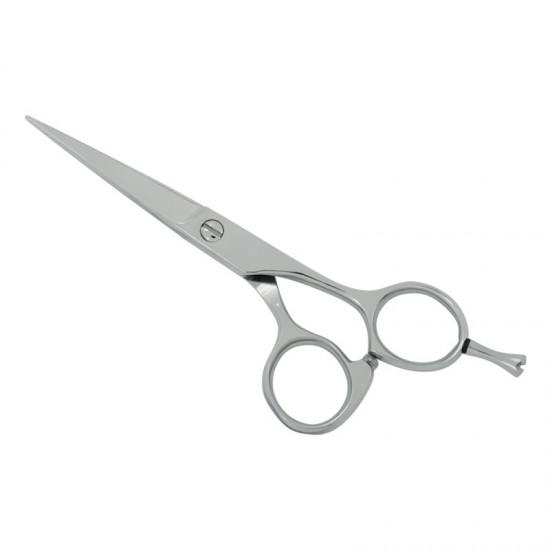 Professional Hair Cutting Scissors