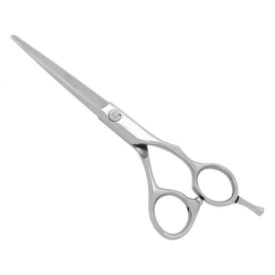 Professional Hair Cutting Scissors