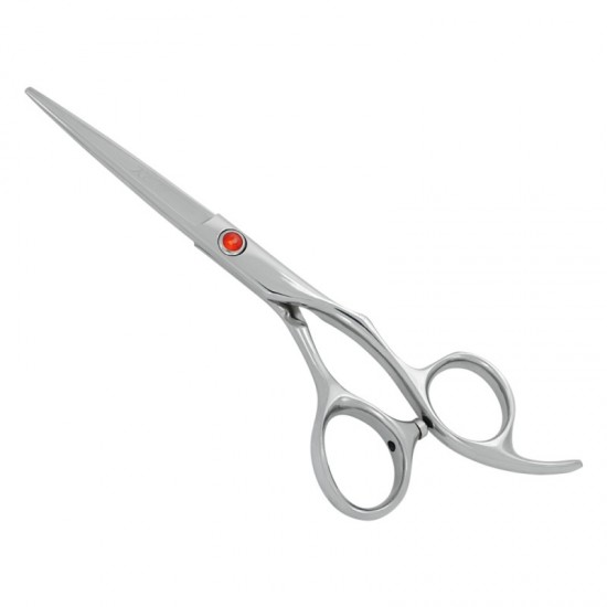 Professional Hair Cutting Scissors