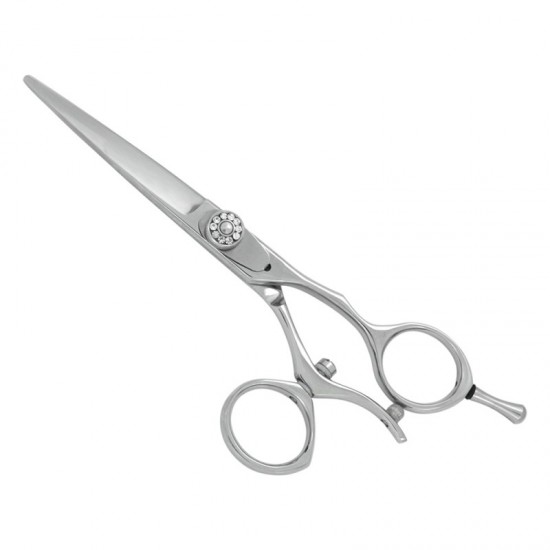 Professional Hair Cutting Scissors