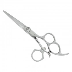 Professional Hair Cutting Scissors