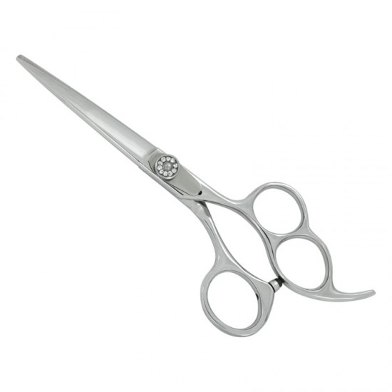 Professional Hair Cutting Scissors