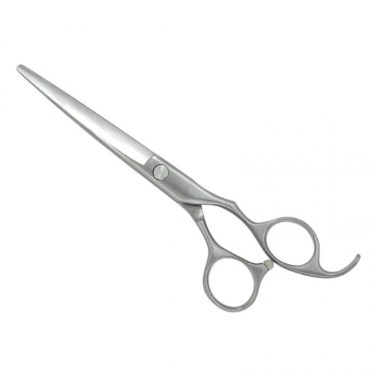 Professional Hair Cutting Scissors