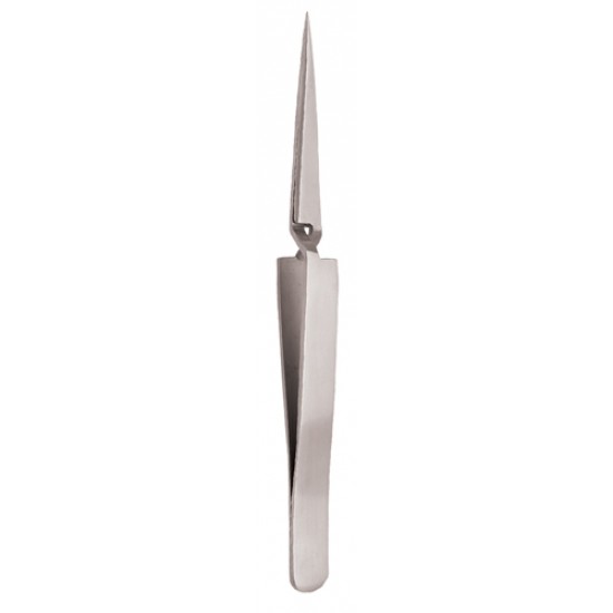 Standard Range Eyelash Tweezer