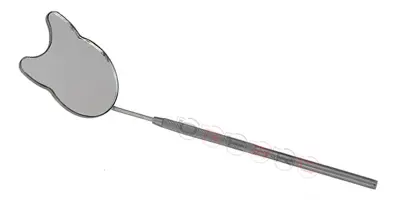 Cat Shaped Eyelash Mirror With Handle