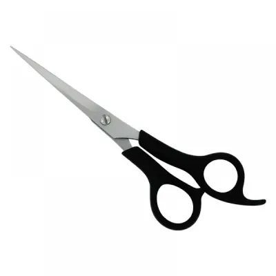 Plastic Handle Scissors