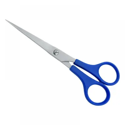 Plastic Handle Scissors