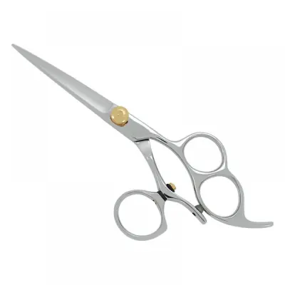 Professional Hair Cutting Scissors