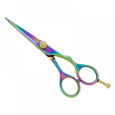 Professional Hair Cutting Scissors