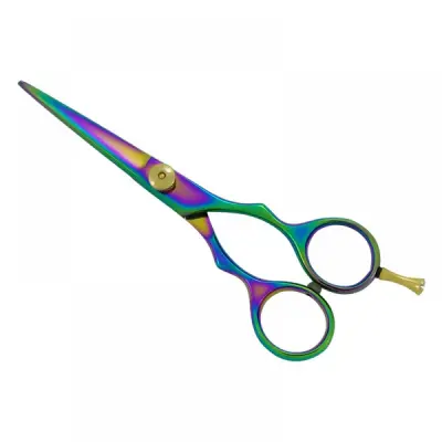 Professional Hair Cutting Scissors