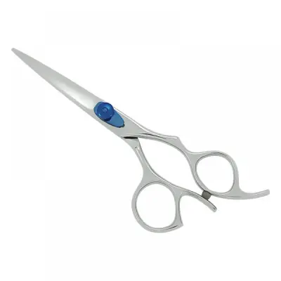 Professional Hair Cutting Scissors