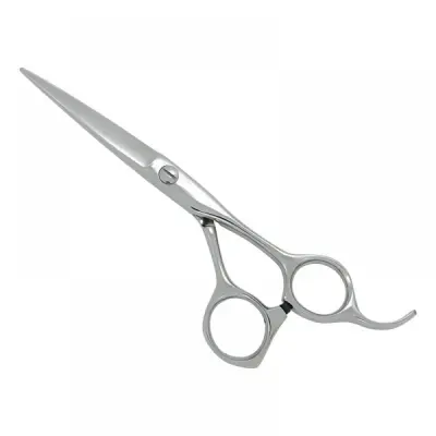 Professional Hair Cutting Scissors