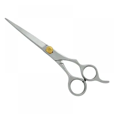 Professional Hair Cutting Scissors