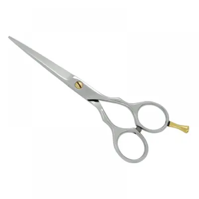 Professional Hair Cutting Scissors