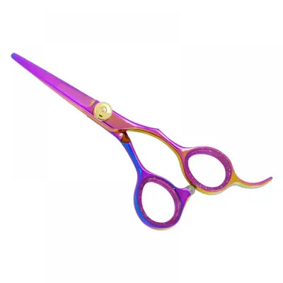 Professional Hair Cutting Scissors