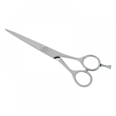 Professional Hair Cutting Scissors