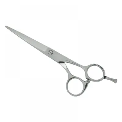 Professional Hair Cutting Scissors