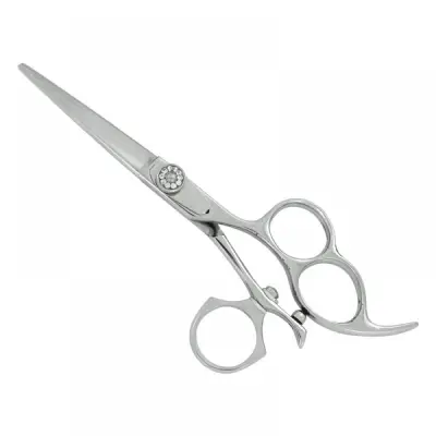 Professional Hair Cutting Scissors