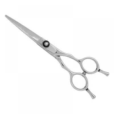 Professional Hair Cutting Scissors