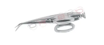 Spring Scissors